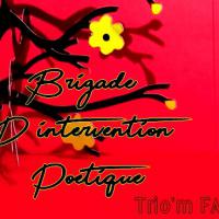 BIP (Brigade d'Intervention Poétique)